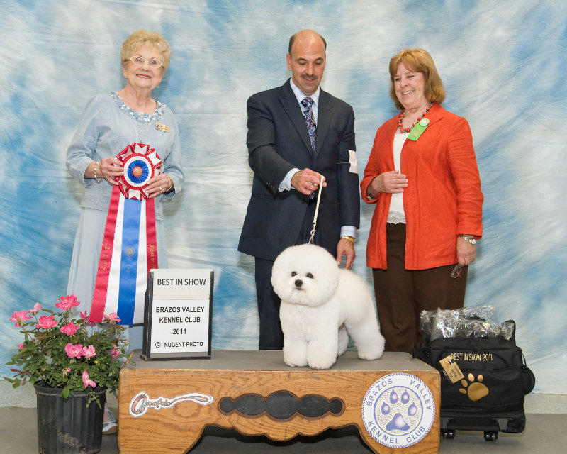 Saturday's Best in Show Winner Saturday's Best in Show Winner